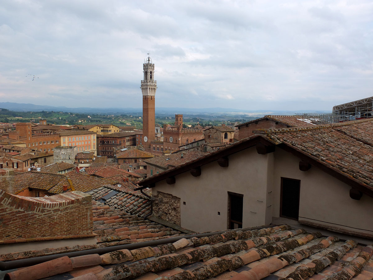 Duomo di Siena  e Porta del Cielo (45)