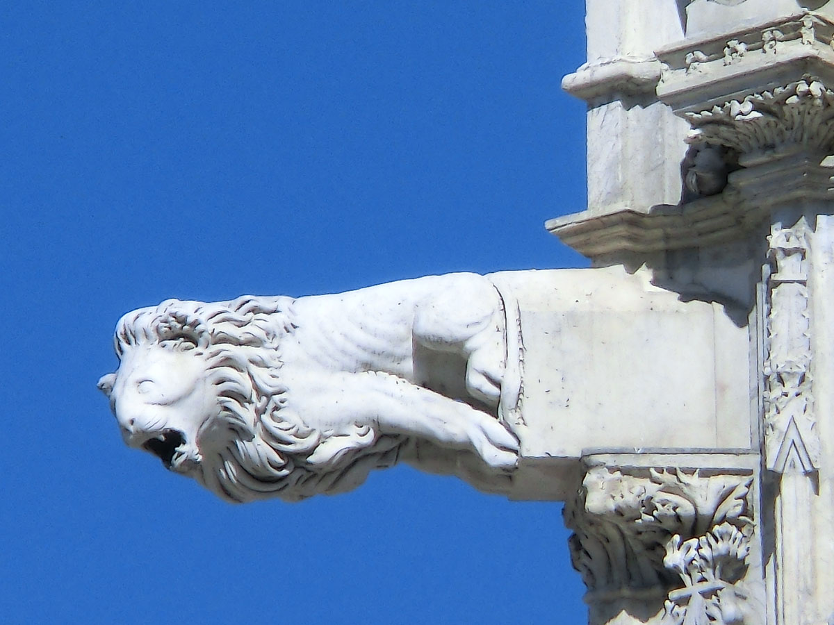 Duomo di Siena  e Porta del Cielo (5)