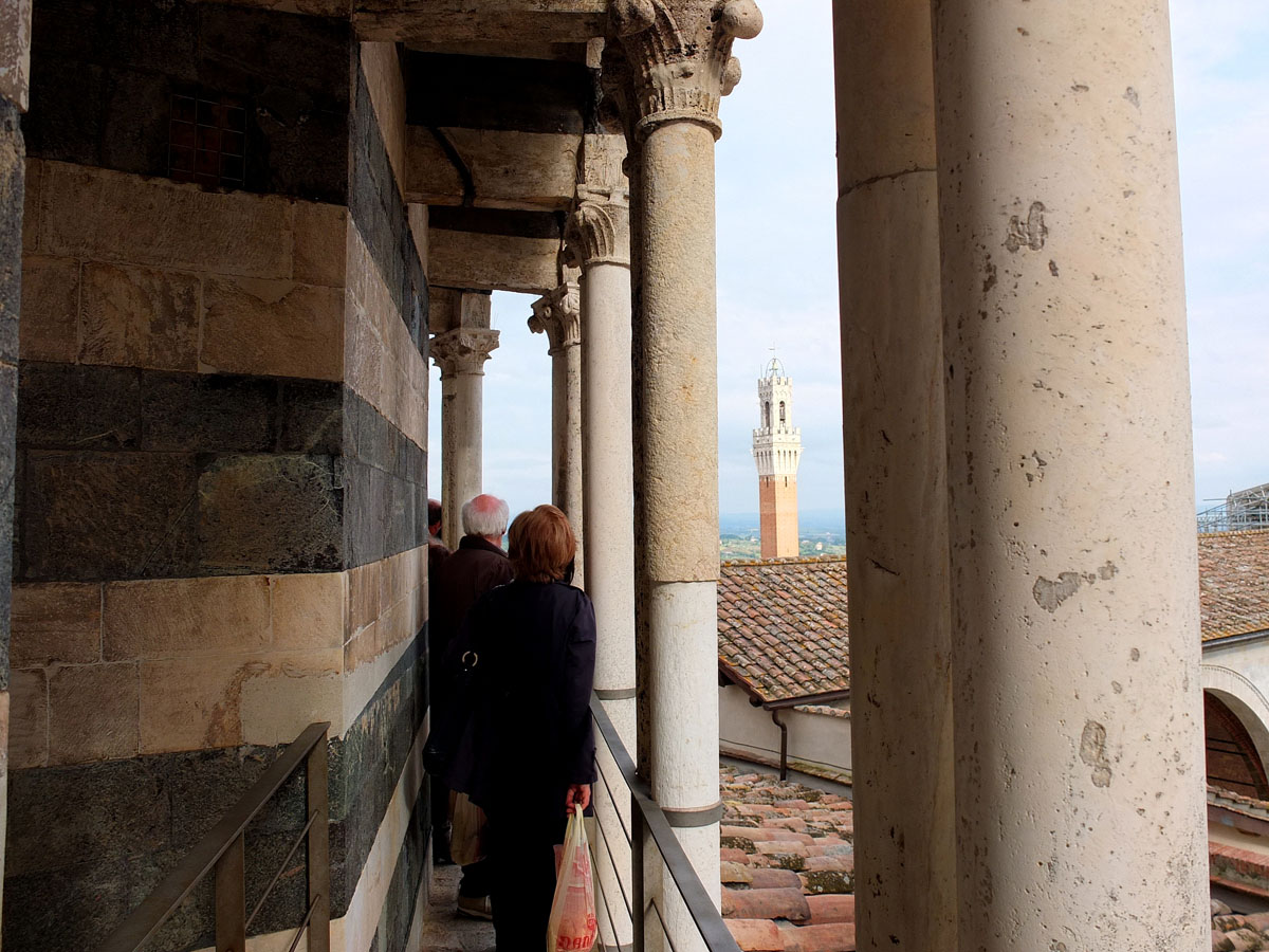 Duomo di Siena  e Porta del Cielo (50)