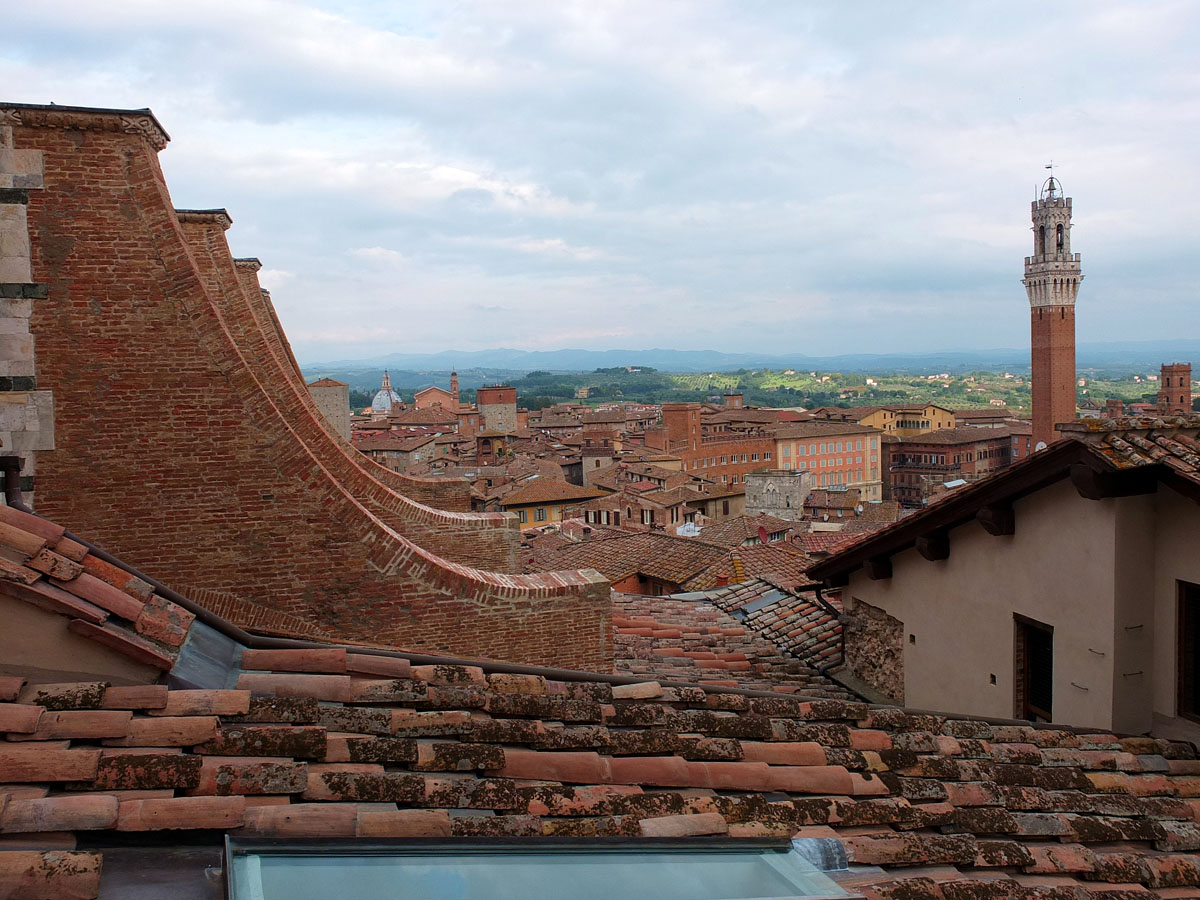 Duomo di Siena  e Porta del Cielo (53)