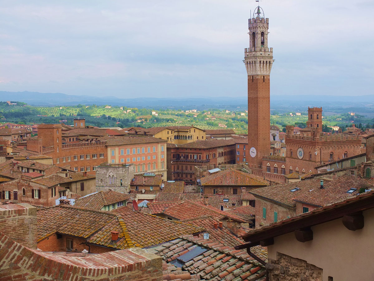 Duomo di Siena  e Porta del Cielo (54)