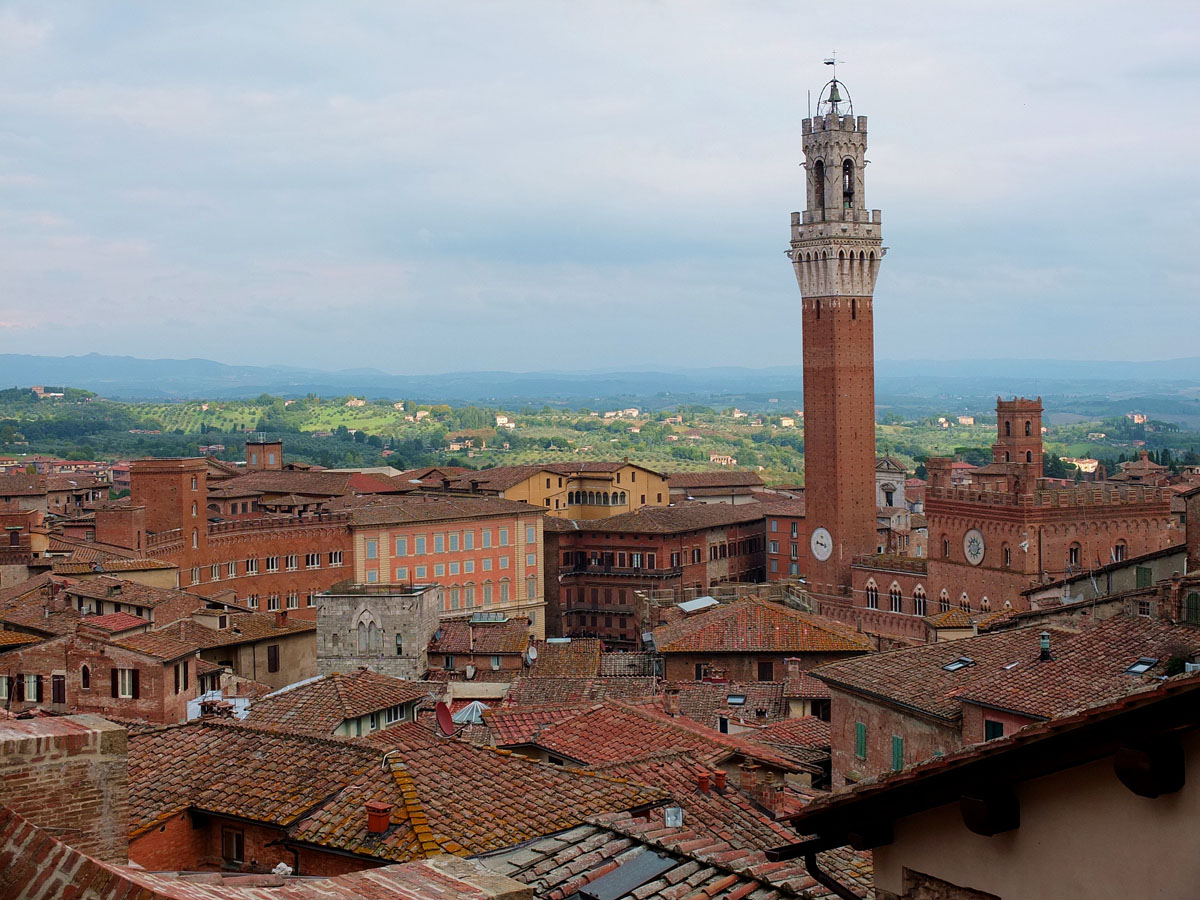 Duomo di Siena  e Porta del Cielo (55)