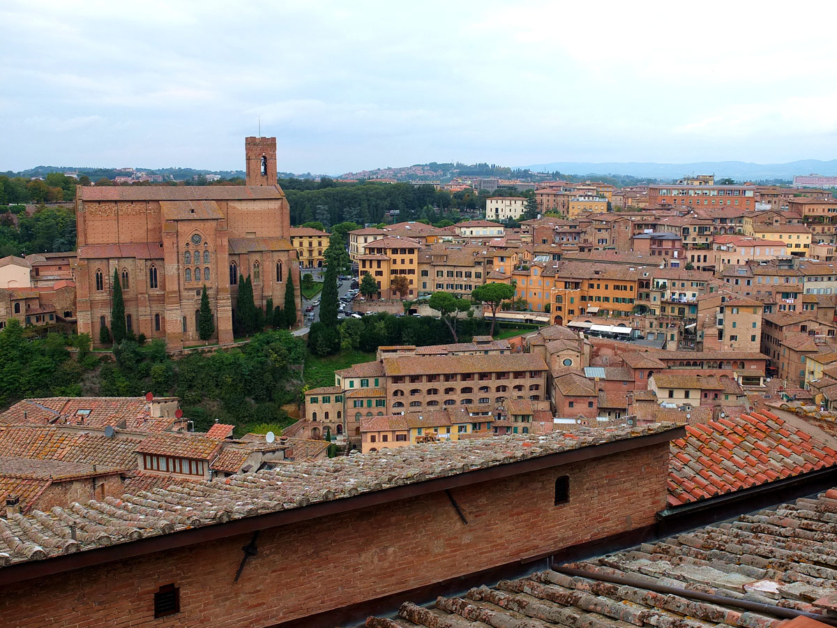 Duomo di Siena  e Porta del Cielo (67)