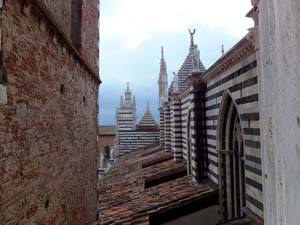 Duomo di Siena  e Porta del Cielo (13)