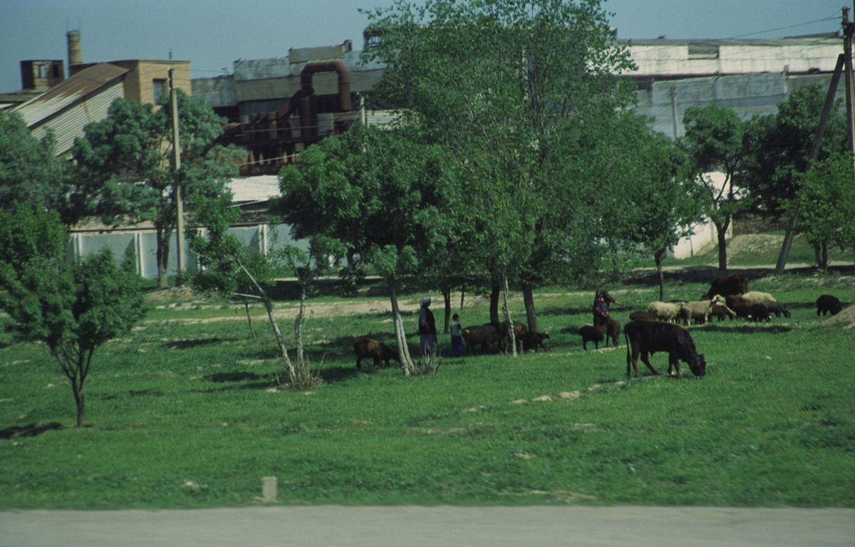 001-UZBEK.INIZ (19)