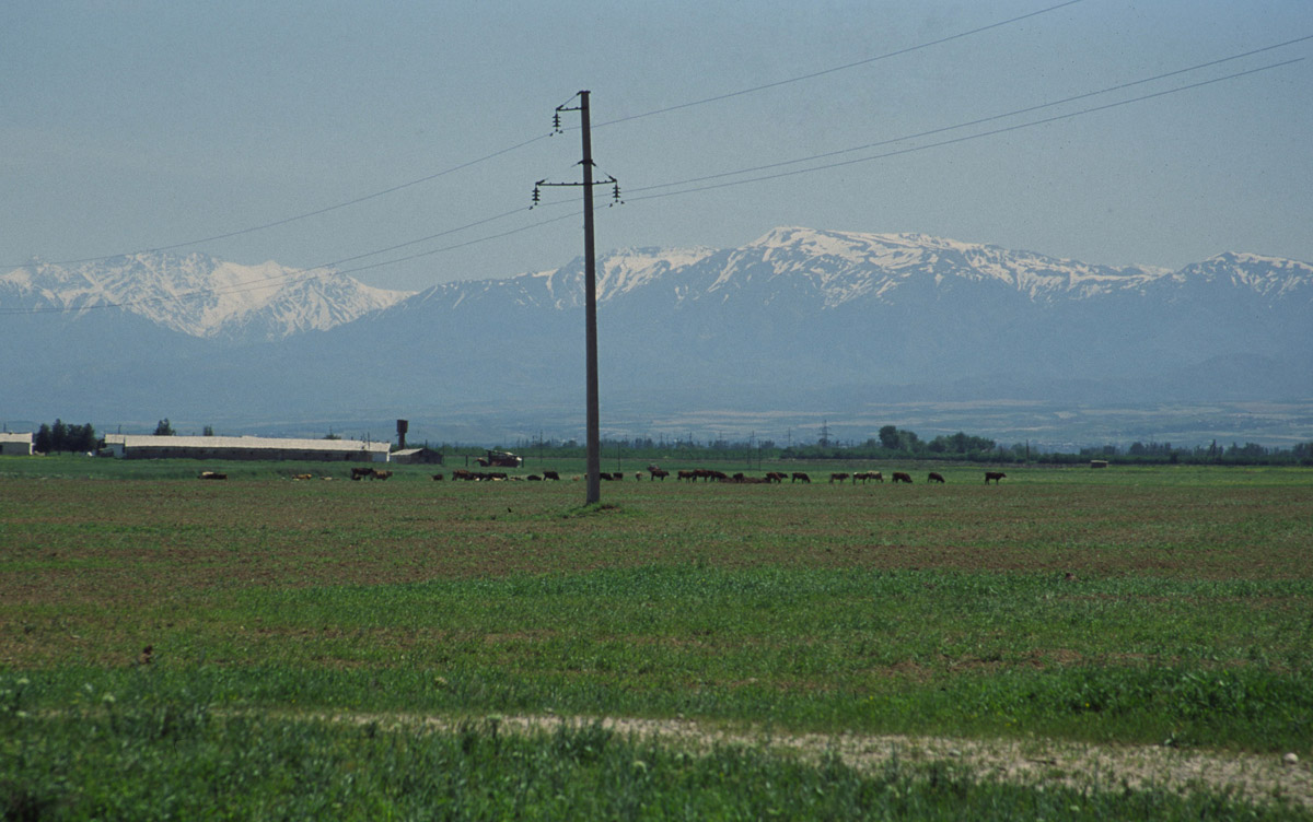 001-UZBEK.bus (23)