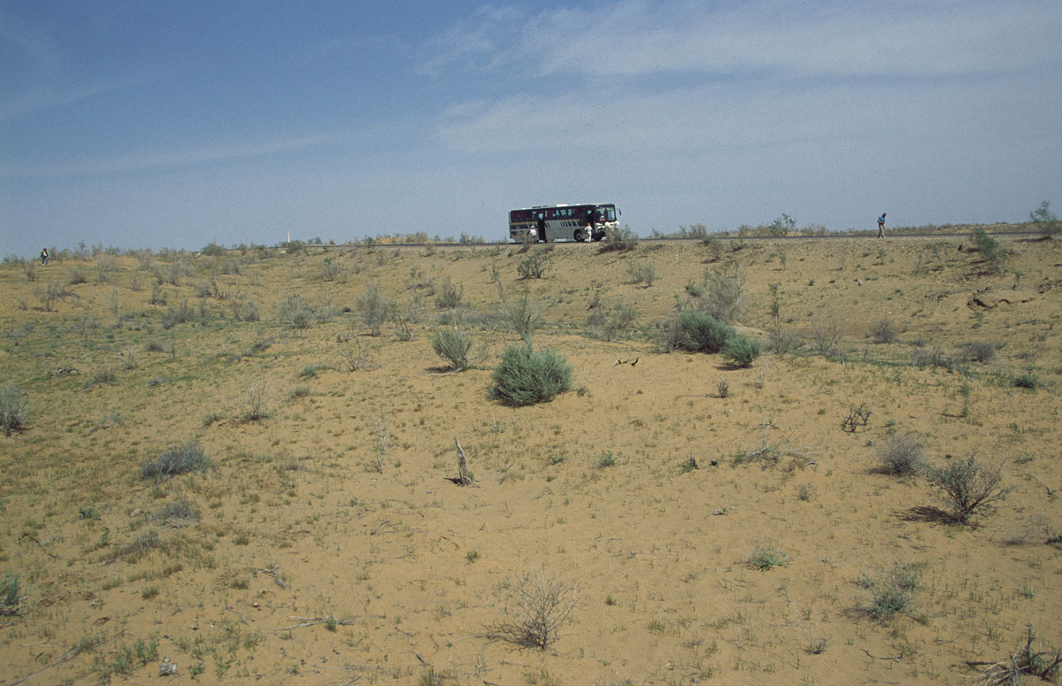 02-UZBEKKIVA.2003JPG2434