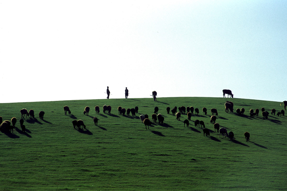 03-UZBEK.BUKARA.2003JPG2483