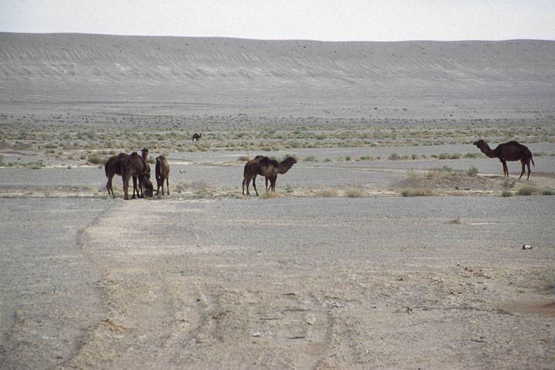 iran20073