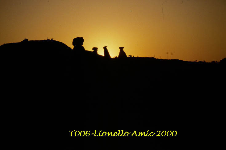 T006 - Lionello Amic 2000